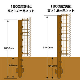 サイズ違いの支柱とネット